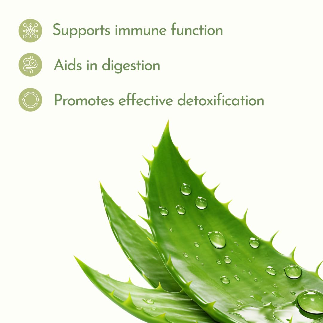 Jigsimur Original Herbal Drink (750ml) - One bottle