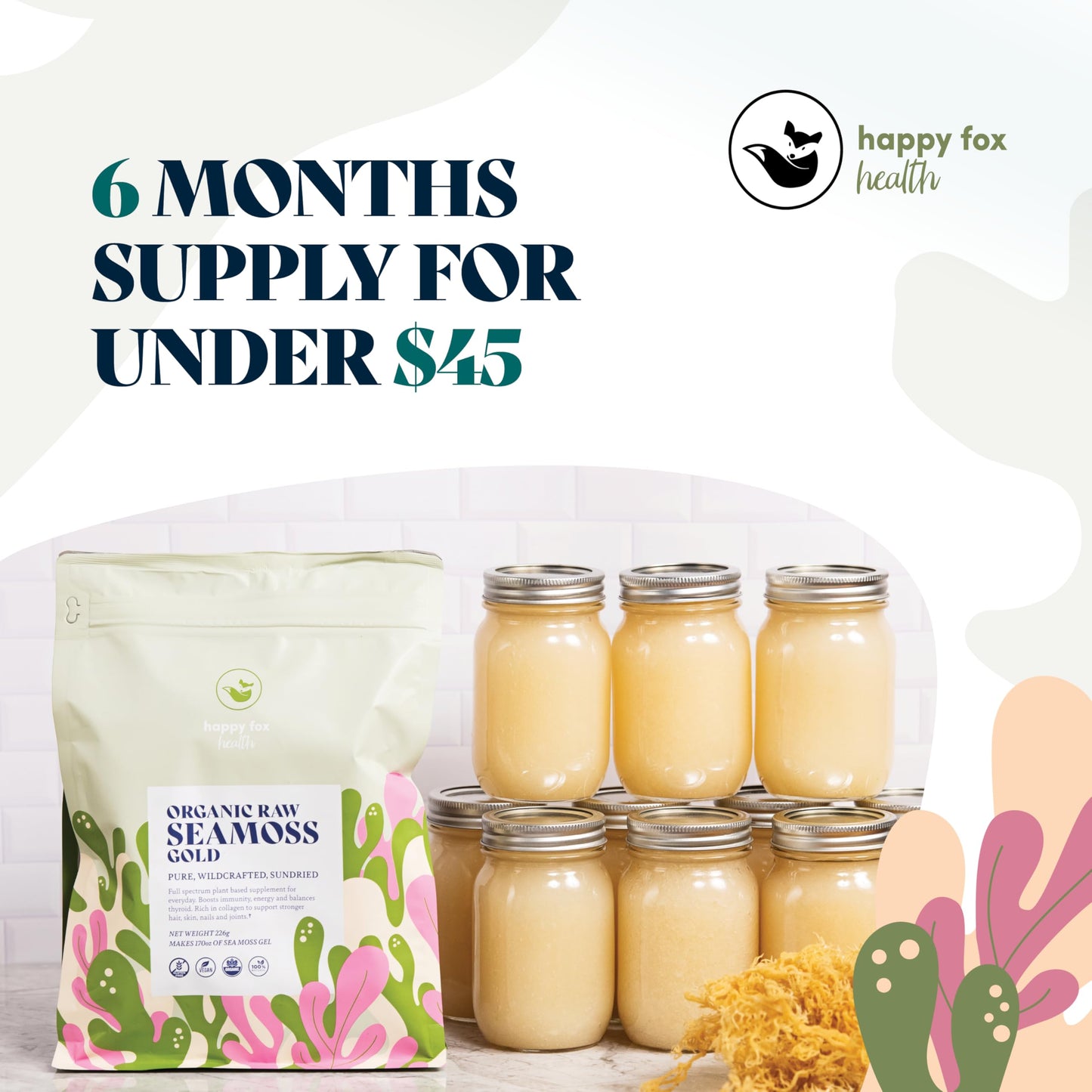 HAPPY FOX Organic Sea Moss Raw Gold - Makes 75oz of Seamoss Gel Rich in Vitamins & Minerals, Certified Non-GMO, Wildcrafted, Sundried Superfood - 100 gram Bag